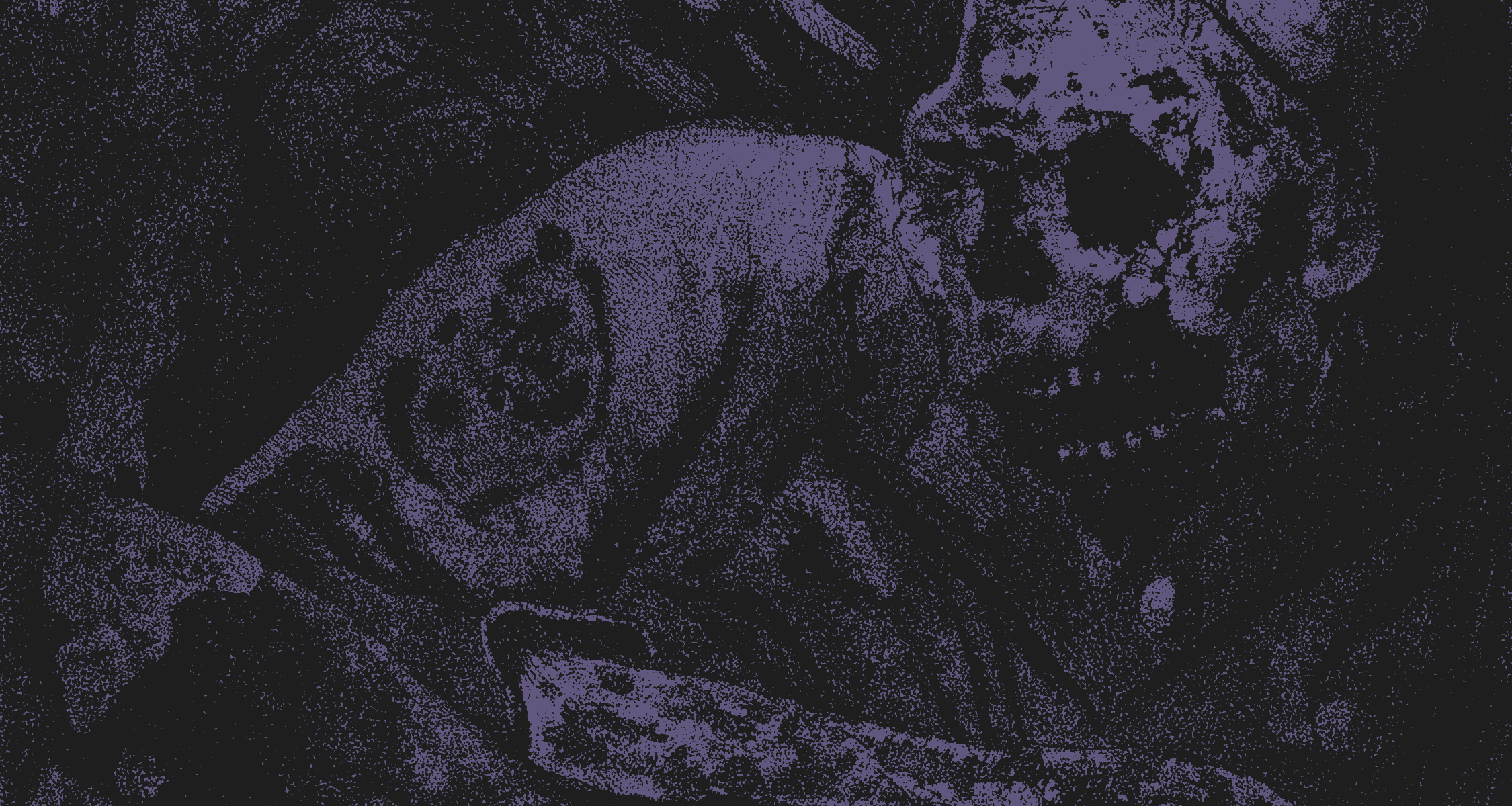 Rotten to the Core // December 2024