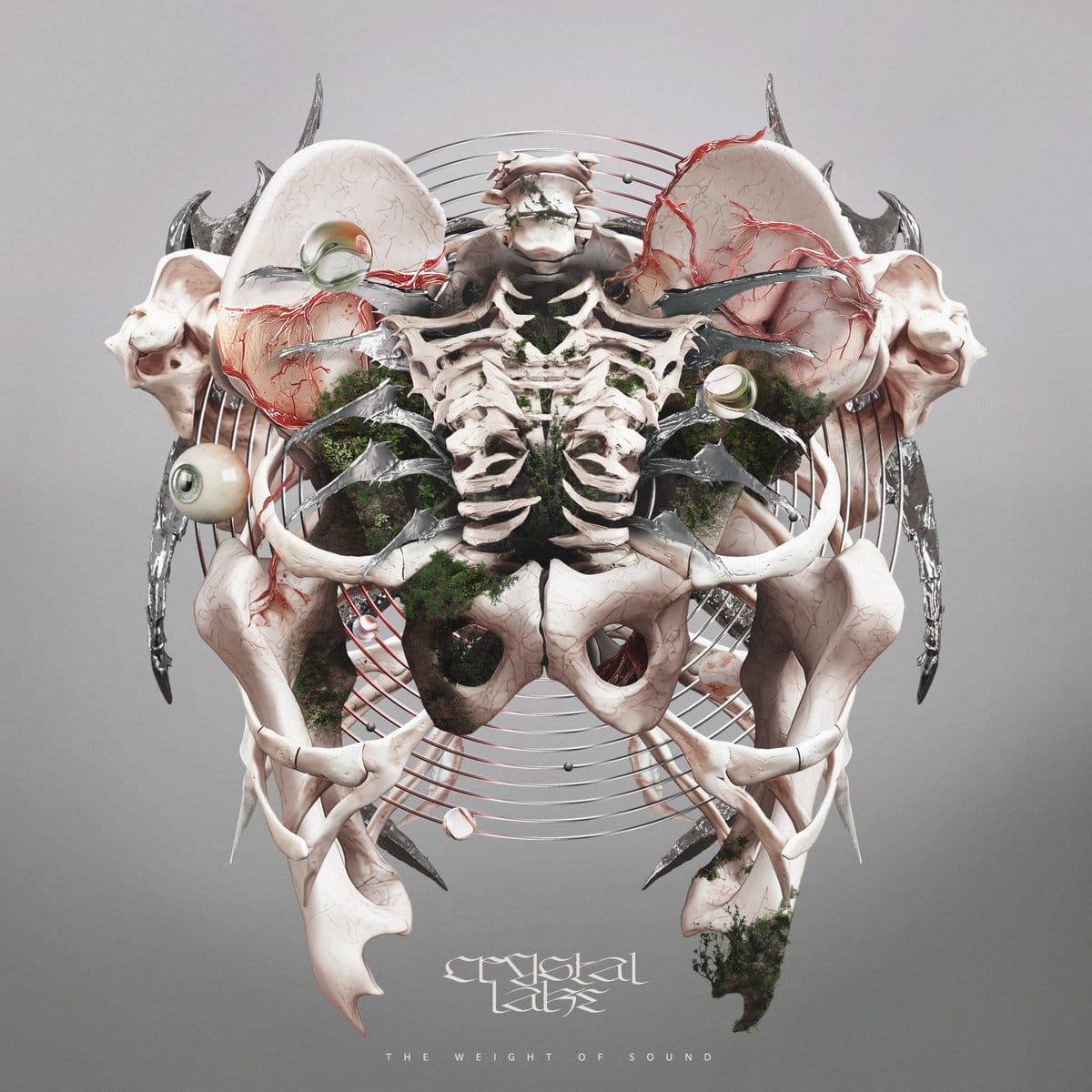 Release Roundup: 1/23/26