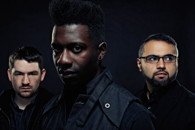 animals as leaders