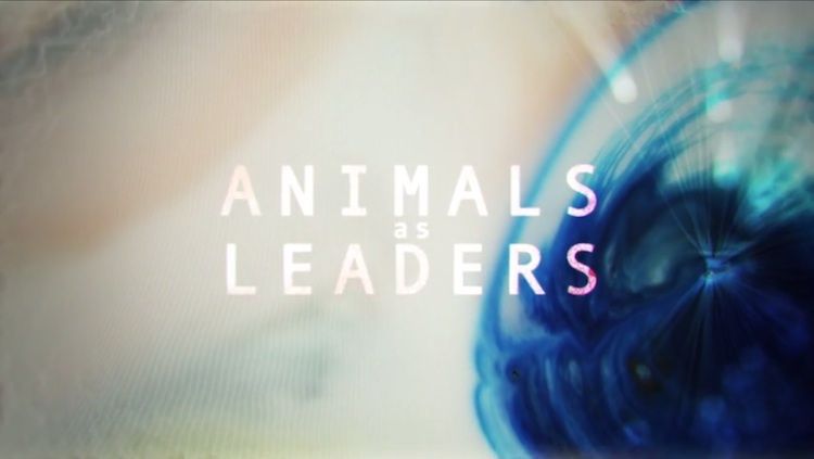 animalsasleaders-newalbum-2014-the-JOY-of-MOTION