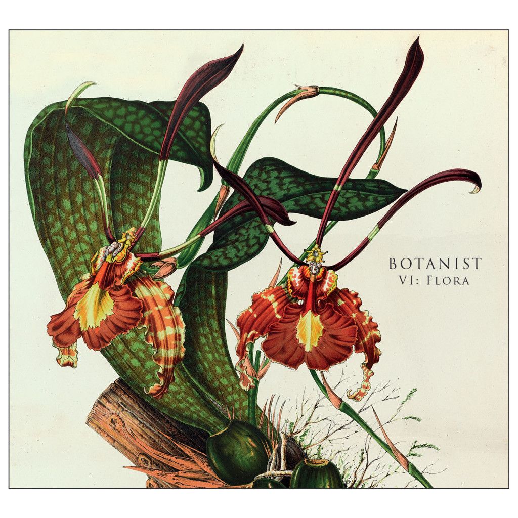 botanist - VI
