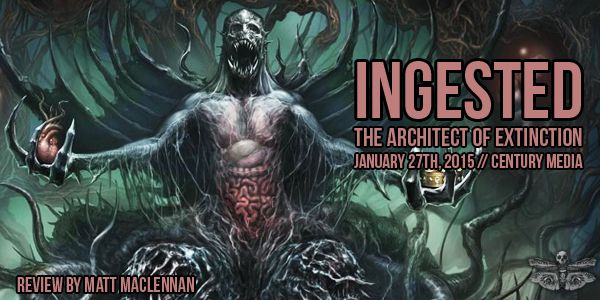 ingested-architect-review