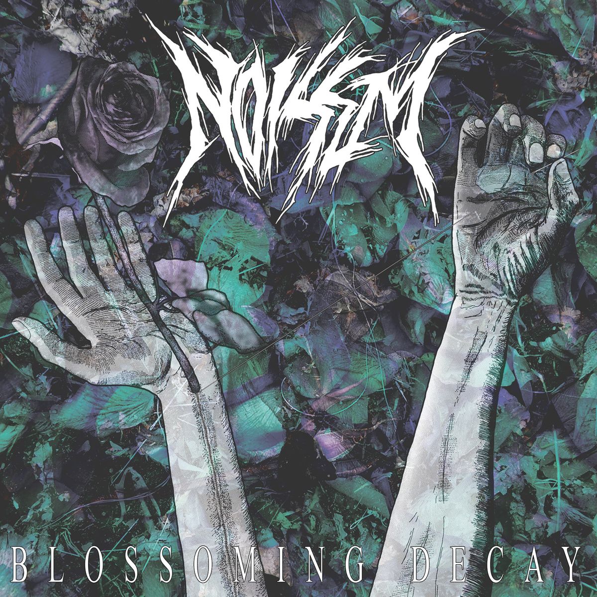 noisem album