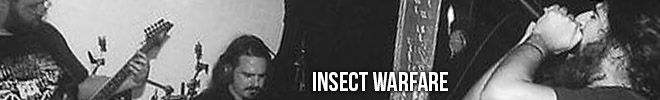 insect warfare