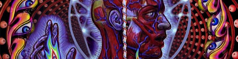 Tool-Lateralus-Banner